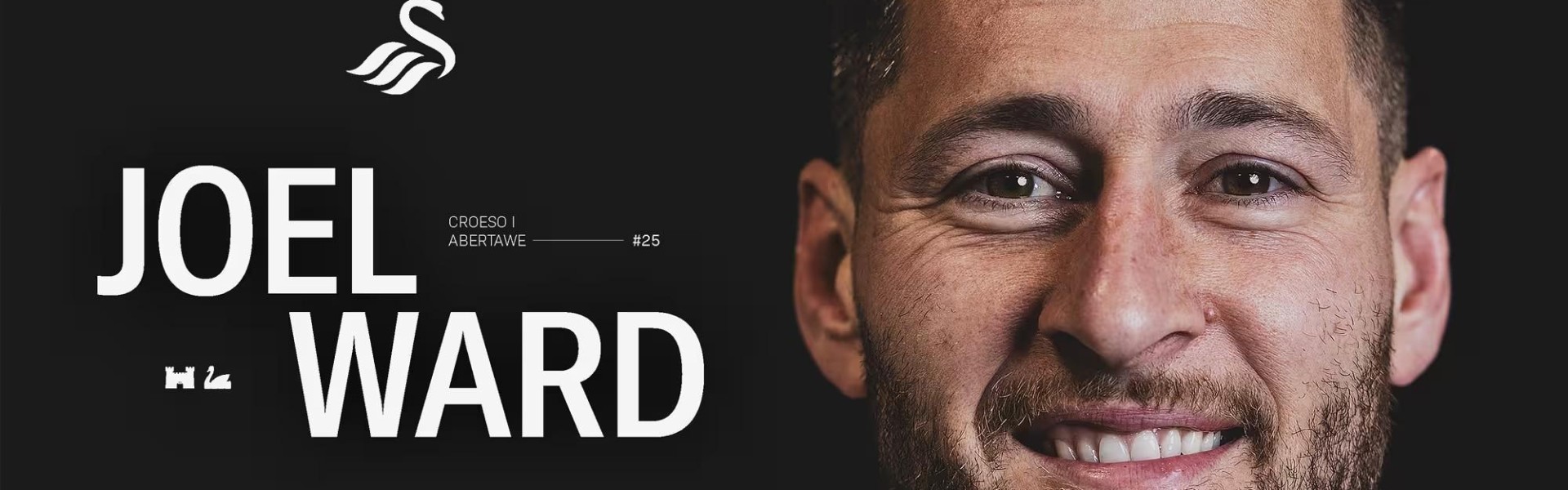 开云体育官方网站-官方：36岁水晶宫传奇沃德自由身加盟英冠斯旺西