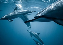 kaiyun sports-闰土没给前女友封口费